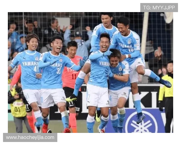 杭州排球队的战术解析与控制技巧深度探讨