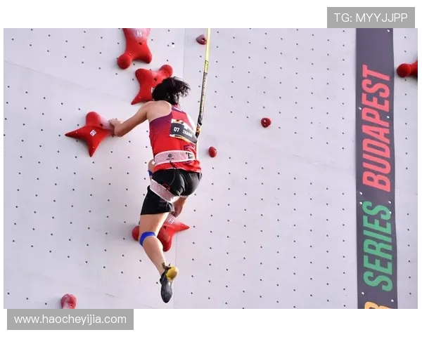 赛后分析：上海攀岩队与南京攀岩队实力对比与表现评估