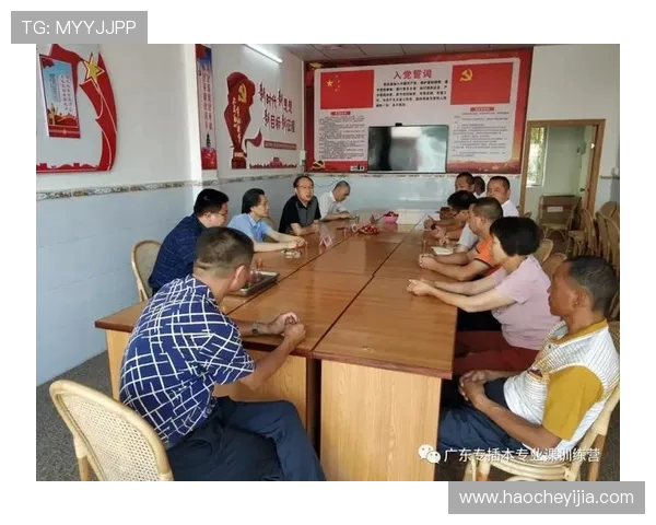 南京排球队在挑战赛中的团队协作表现分析与点评