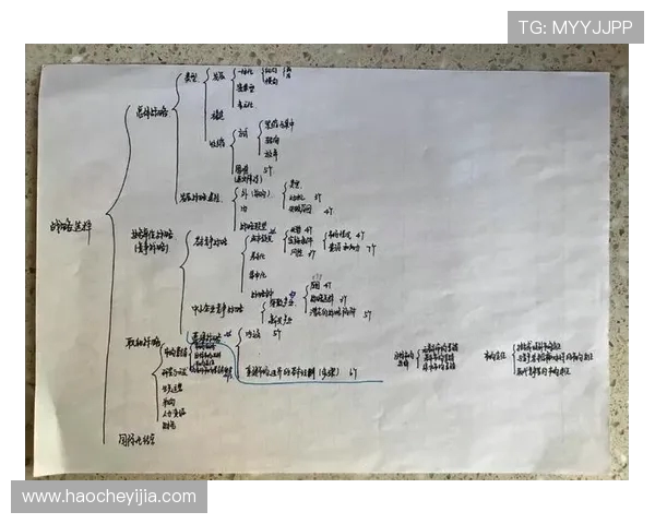 成都街舞队运营分析：成功经验与面临挑战的深度探讨
