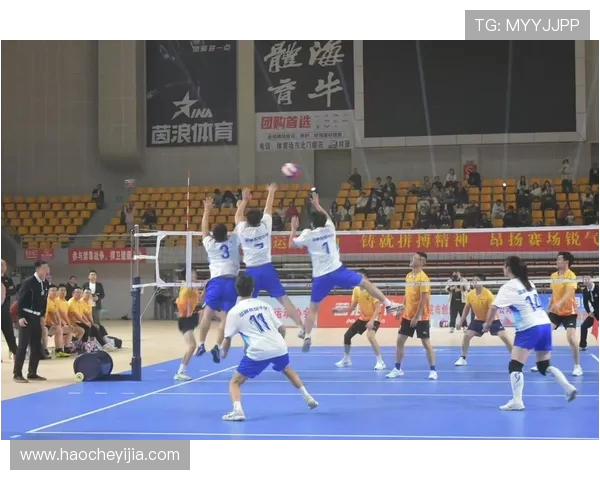 排球灵活性评比揭晓上海排球队荣获第四名佳绩